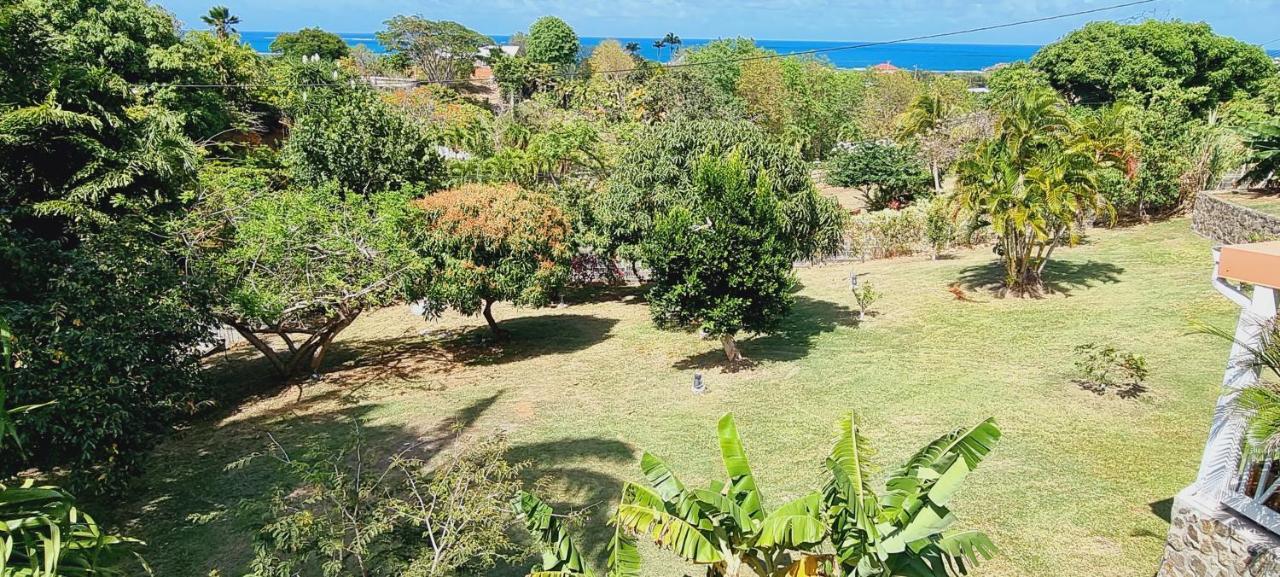 Les Hauts Du Cap Le François エクステリア 写真